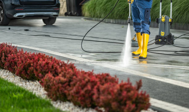 Best Dumpster Area Cleaning  in Vancleave, MS